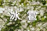 关于冰雹作文