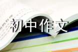 从小学到初中作文