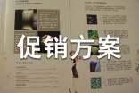 促销方案范文汇总8篇