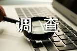 小学生社会调查报告