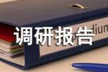城市建设工作调研报告