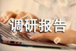 2018取消农业税后基层农村工作情况的调研报告