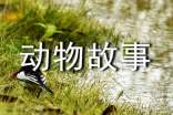 动物故事作文