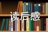 解忧杂货店读后感作文700字