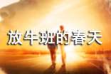 放牛班的春天电影观后感(推荐)
