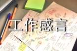 工作感言(精选100句)