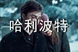 哈利波特与魔法石读后感(热)