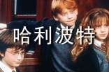 哈利波特读后感(合集14篇)