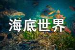 海底世界作文集合（15篇）