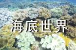 关于《海底世界》教案模板《海底世界》公开课教案