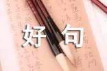 好句摘抄集锦