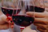 关于红酒的优美宣传语