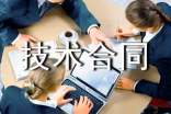 系统服务技术合同