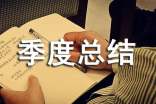 季度总结报告怎么写