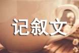 作文高中记叙文