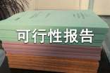 公开增发募集资金可行性报告