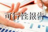 可行性报告写作格式