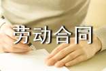 上海劳动合同优秀范本