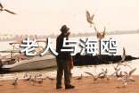 寒假《老人与海鸥》读后感