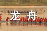 赛龙舟小学作文