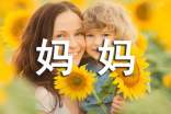 妈妈的爱小学三年级作文【集合】