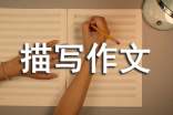 人物特点描写作文