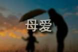 实用的写母爱作文3篇