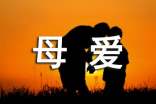 实用的伟大的母爱的作文六篇