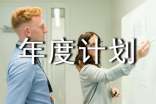 年度总结及年度计划