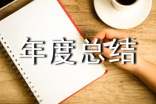 个人考核年度总结