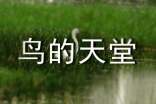 鸟的天堂教案10篇