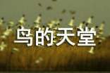 鸟的天堂教学教案设计