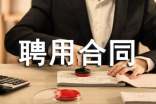 聘用合同的样本