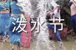 小学二年级语文《难忘的泼水节》原文及教案