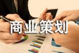 商业策划书的格式