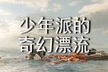 少年派的奇幻漂流观后感15篇