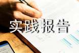 2017初中寒假社会实践报告