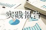 2017年寒假社会实践报告1500