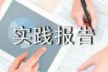 【热门】社会实践报告锦集10篇