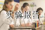 关于实验报告