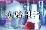 工作实验报告