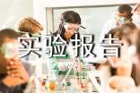 科学实验报告模板