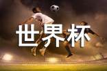 喜迎世界杯征文