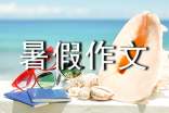暑假作文素材