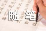 实用的随笔作文300字锦集[6篇]