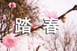踏春小学作文