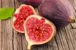 无花果根的功效与作用及禁忌