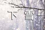 下雪了作文(精)
