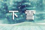 【精华】下雪了小学作文合集六篇