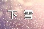 【精选】下雪了小学作文300字集锦5篇